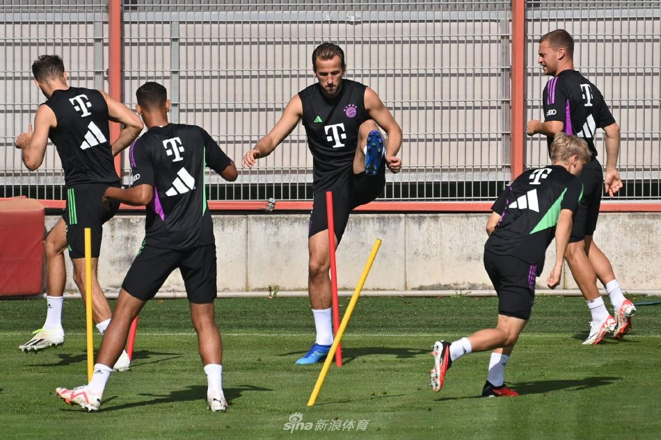 日趋稳定 日趋稳定